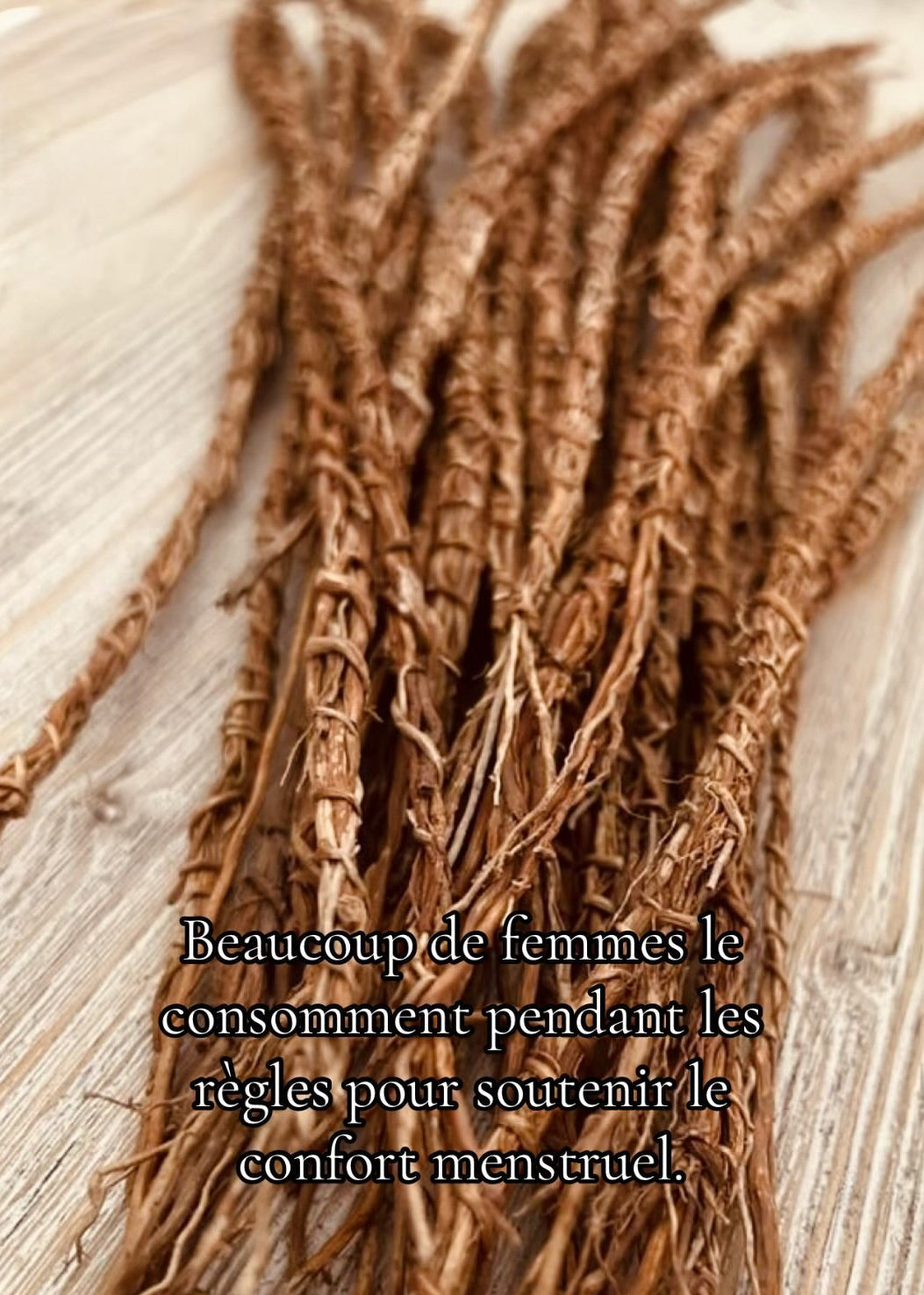 Tiges de khamaré (Vetiveria nigritana), plante traditionnelle d'Afrique de l'Ouest